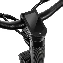 251.webp