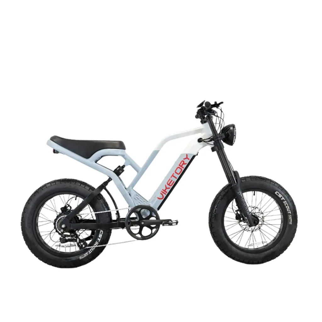 Bicicleta Eléctrica Viketory NAVY Fatbike