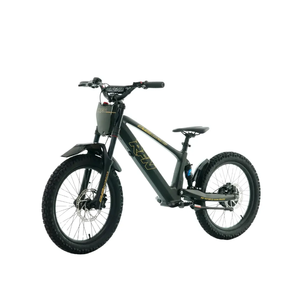 Bicicleta Eléctrica sin Pedales RFN Evo Racing 20" (Negro)