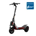 Patinete Eléctrico Segway Ninebot ZT3 Pro E